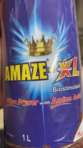 AMAZE-XL 1LTR