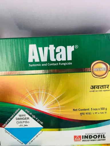 INDOFIL AVTAR 500GM