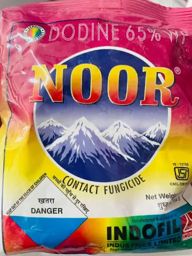 NOOR DODINE 100GM 65%WP